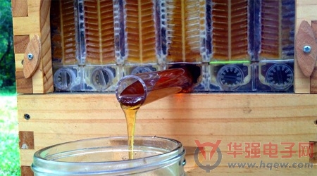 打开龙头即可取蜜的人工蜂巢
