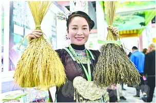 国家精准扶贫展区亮相森博会