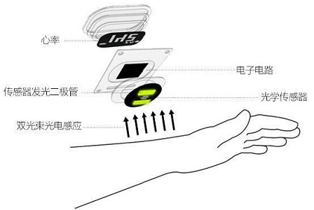光学心率传感器的工作原理及结构组成是怎样的？